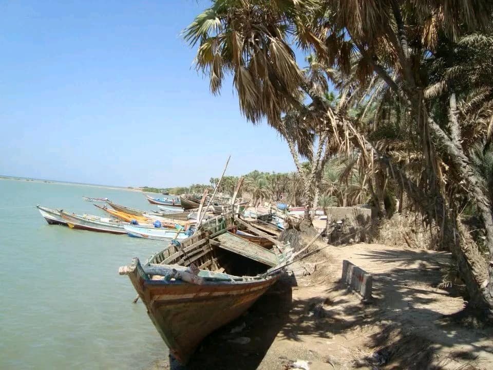 سواحل الخوخة
