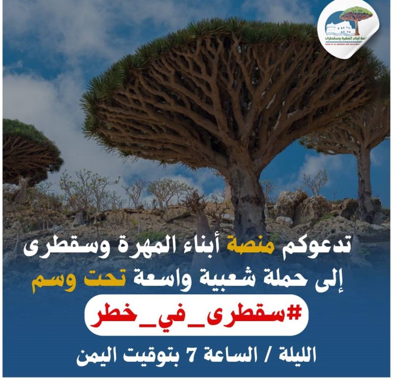 رفضا للعبث الإماراتي.. حملة الكترونية واسعة لإنقاذ جزيرة سقطرى