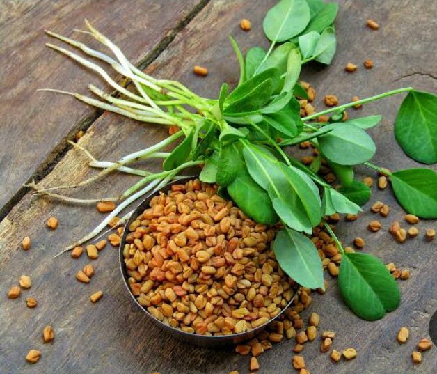 الحلبة: فوائد صحية متعددة وأنواع مختلفة