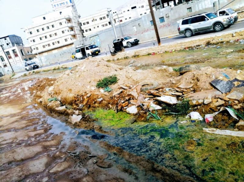 توسع انتشار البعوض في مدن ساحل حضرموت وسط تجاهل السلطة