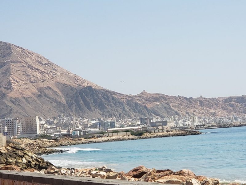 المكلا.. انتشار كثيف للبعوض وسط غياب أي دور للجهات المعنية