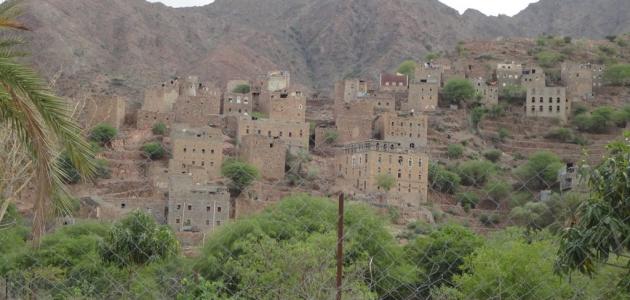 حادثة مروعة.. أب يقتل ابنه في محافظة لحج