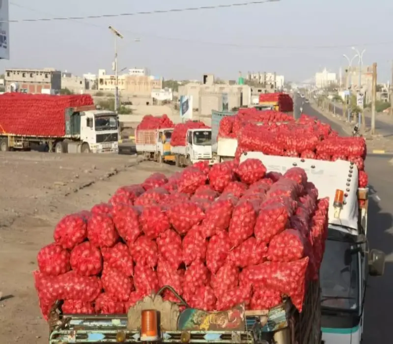 بعد توقف دام شهرين.. السعودية تعاود السماح بدخول البصل اليمني إلى أراضيها