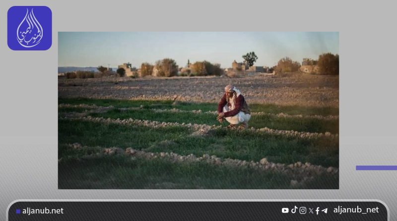 “الفاو” تحذر من اضطرابات مناخية تهدد الإنتاج الزراعي في اليمن